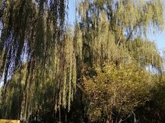 -西安市长乐公园