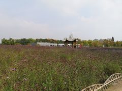 -杭州城北体育公园