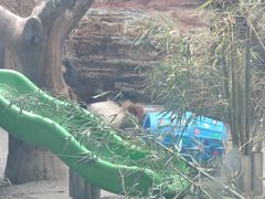 -石家庄市动物园