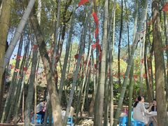 -金水泊山庄·花椒鸡(铁山坪店)