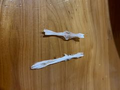 -老字号怡玺·藿香雅鱼(20年雅安店)