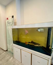 -FUMEIHUI·科技美肤·美体SPA