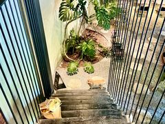 -J Create城市露营咖啡·简餐·宠物(上海动物园店)