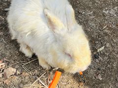 -水上乐园·欢乐世界