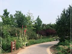 -绿堤公园