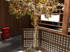 -蟹将军·松叶蟹和牛日料放题自助(K11店)