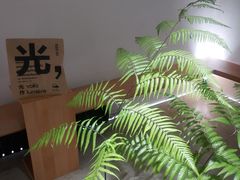 -光作面包Voila Lumiere(中山店)