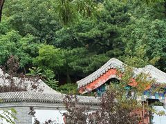 -阳台山自然风景区