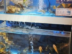 -伊藤洋华堂(温江店)