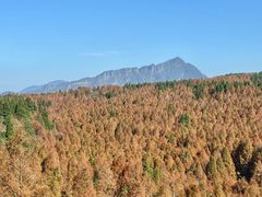 -山王坪喀斯特国家生态公园