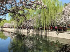 -海棠花溪(元大都城垣遗址公园)