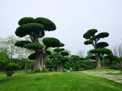 -南宁南湖公园