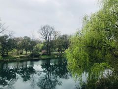 -贵阳市花溪国家城市湿地公园