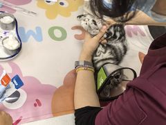 -美联众合动物医院·24h京西诊疗中心
