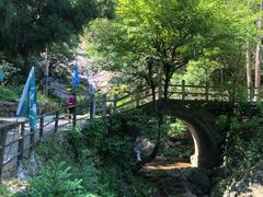 -东天目山风景区