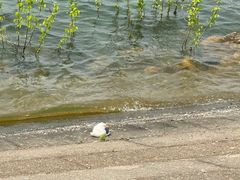 -南京金牛湖风景区