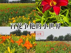 -汉长安城未央宫国家考古遗址公园