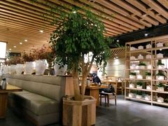 大堂-小城粥道·海胆鲜虾粥(解放广场店)