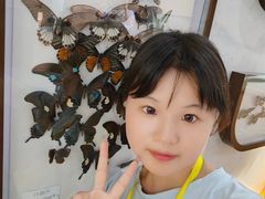 -屈原故里文化旅游区
