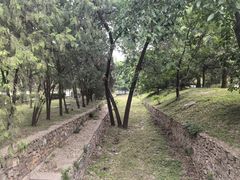 -香山公园