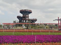 -芒洲湿地公园