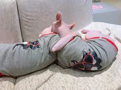 -藏猫猫咖啡主题馆(中央大道店)