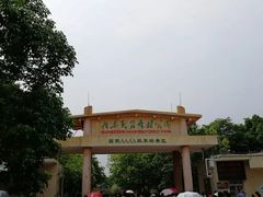 -广东茂名森林公园