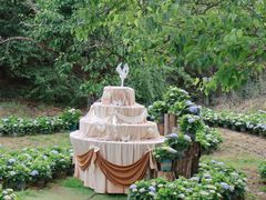 -名花谷生态庄园