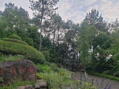 -铁山坪森林公园