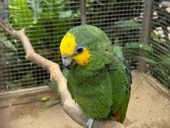 -大连森林动物园