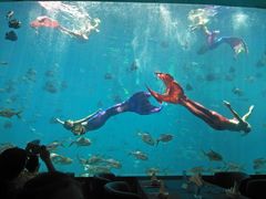 -瑞德姆美人鱼海底演艺主题餐厅(亚龙湾店)