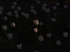 -长春公园(普阳街道)