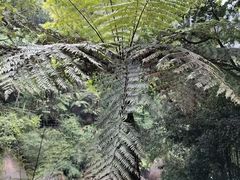 -赤水丹霞旅游区·大瀑布