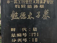 -懿德太子墓博物馆