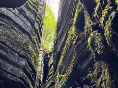 -梭布垭石林景区