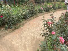 -武汉紫薇都市田园