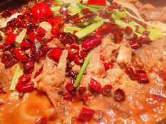 -老板恋上鱼(高新万达店)