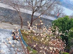 -九华山公园