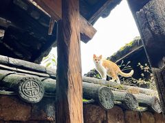 -田德能咖啡博物馆