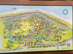 -上海滨江森林公园