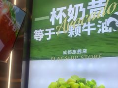 -茉酸奶(春熙路店)