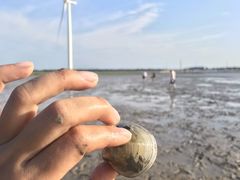 -小洋口旅游度假区