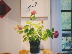 -苏湘杭(普罗旺世店)