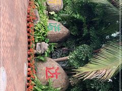 -呀诺达热带雨林