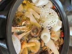 -蘑统田下·野生菌火锅