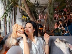 -the rug 飞毯 (朝阳公园店)