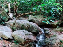 -火炉山森林公园