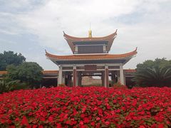 -橘子洲景区