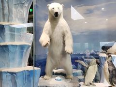 -国家自然博物馆