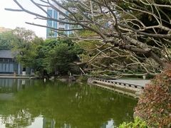 -万达广场(东莞东城店)